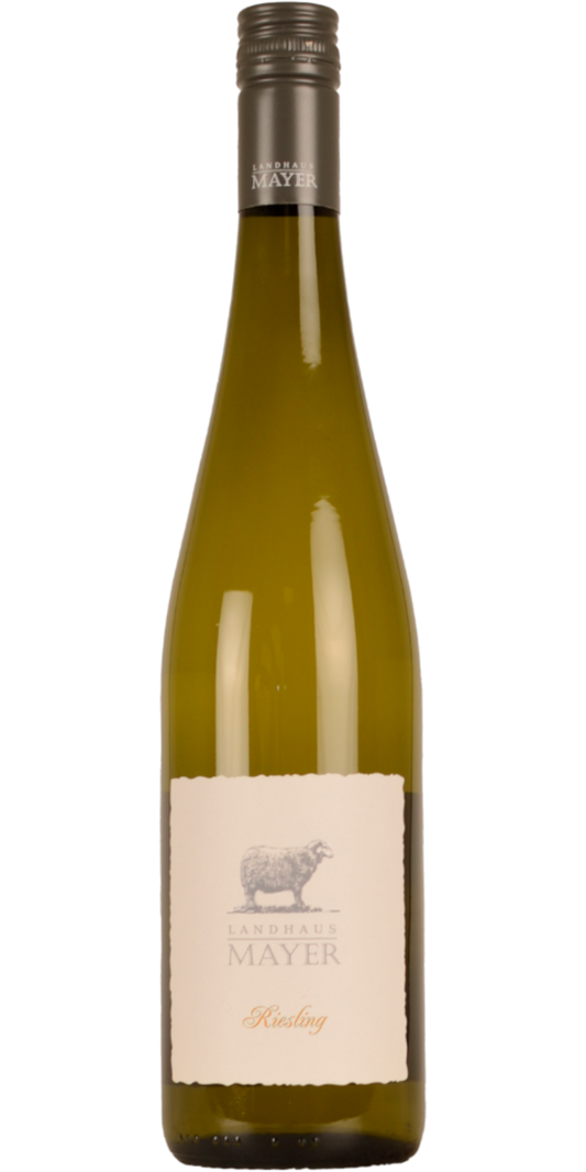 Landhaus Mayer Riesling